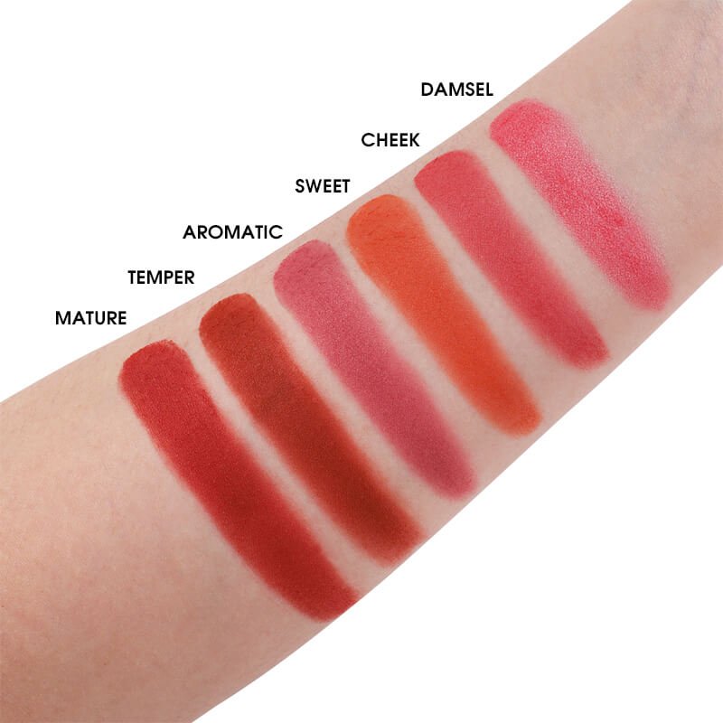 6 COLOR TOUCH BLUSH PALETTE